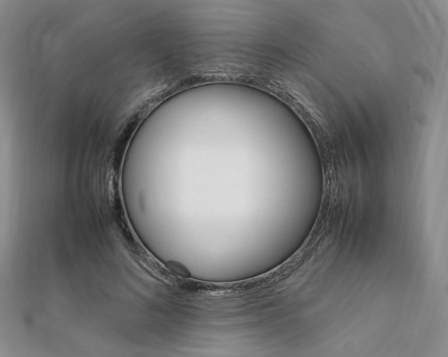 X0000112010692200908031022