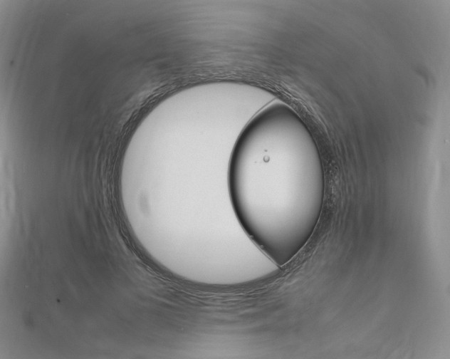X0000112010693200908031021