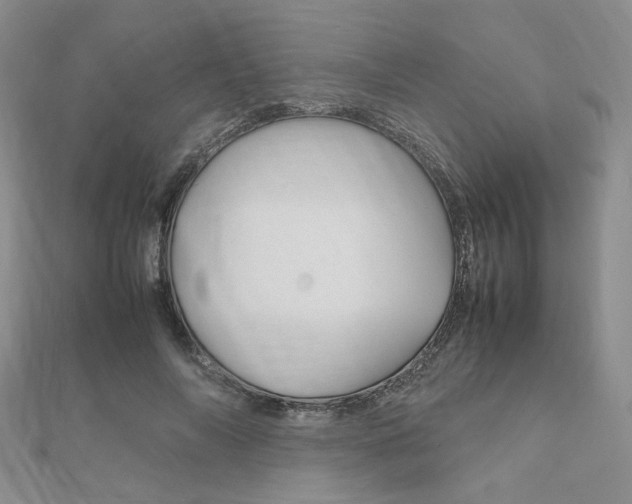 X0000112010694200908031021
