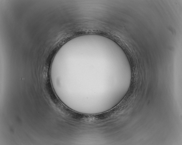 X0000112010695200908031021