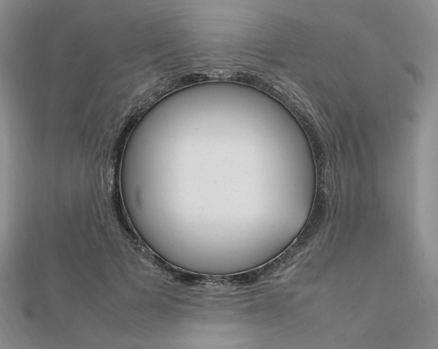 X0000112010697200908031021