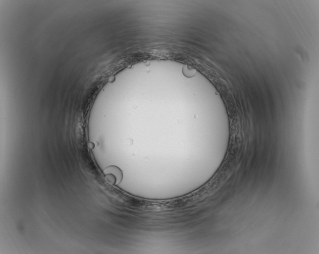 X0000112010702200908031021