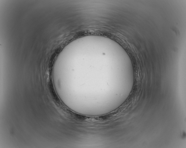X0000112010703200908031021