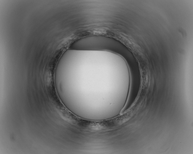 X0000112010704200908031021