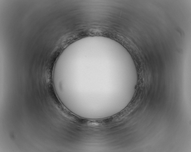 X0000112010706200908031021