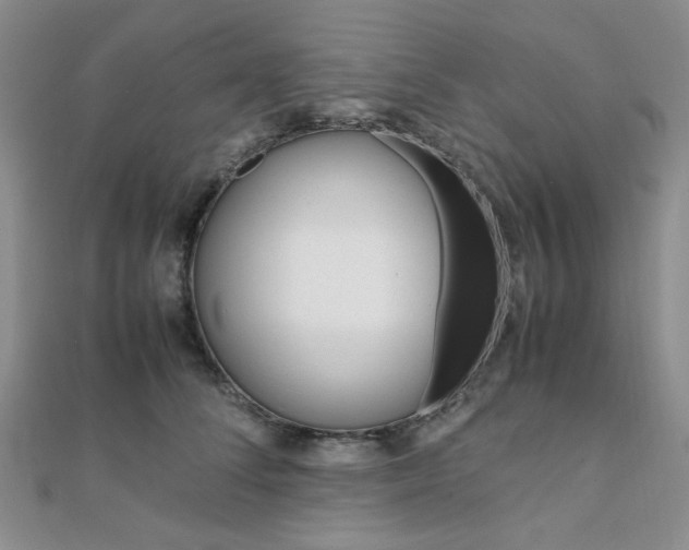 X0000112010708200908031021