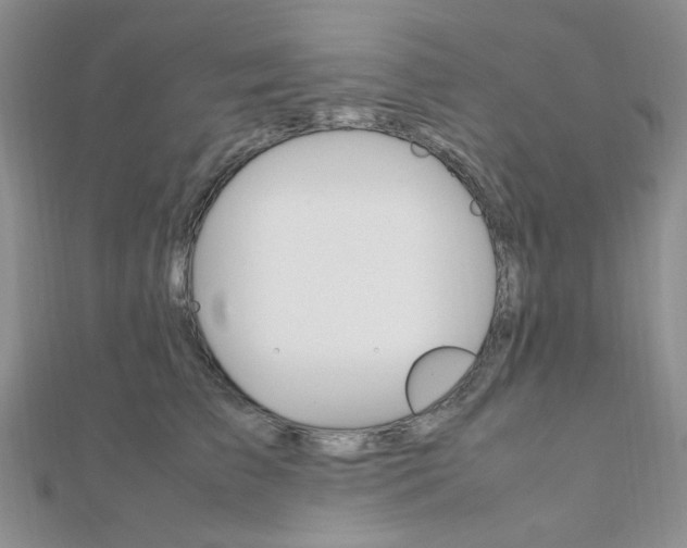 X0000112010709200908031021