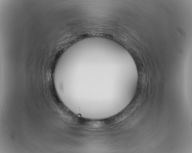 X0000112010711200908031021