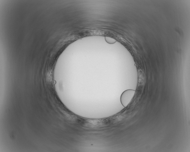X0000112010713200908031021
