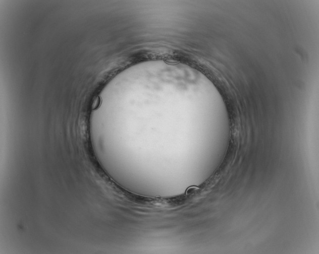 X0000112010715200908031021
