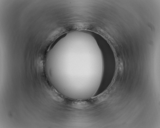 X0000112010716200908031021