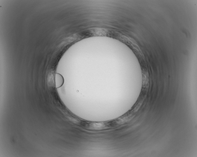 X0000112010717200908031021