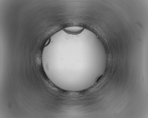 X0000112010719200908031021