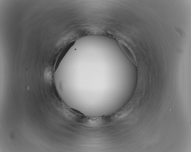 X0000112010720200908031021