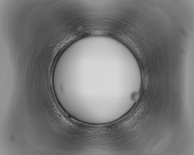 X0000112010721200908031021