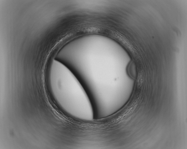 X0000112010722200908031021