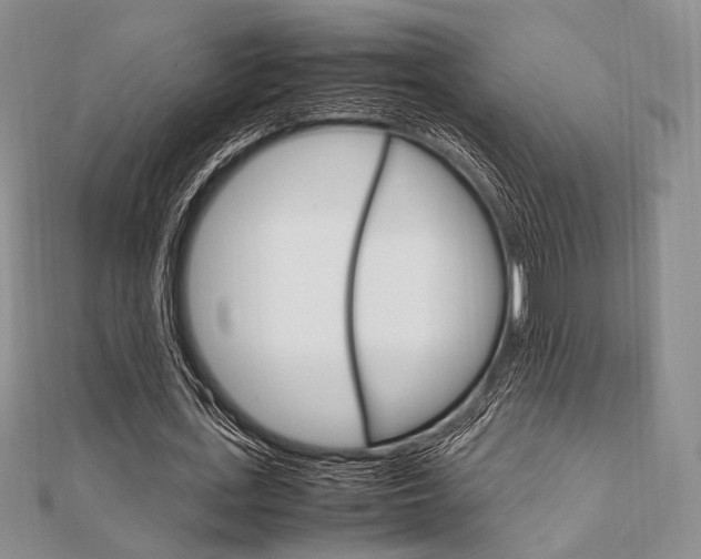 X0000112010723200908031021