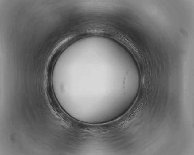 X0000112010724200908031021