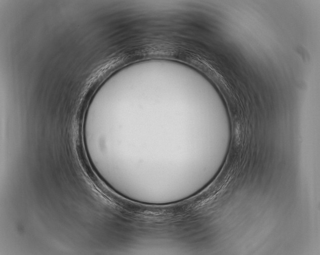 X0000112010725200908031021