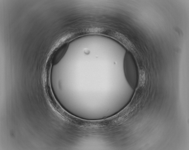X0000112010726200908031021