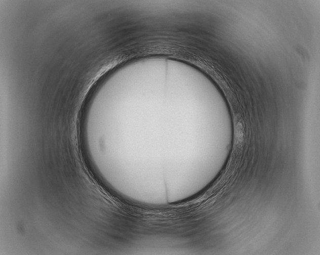 X0000112010727200908031021