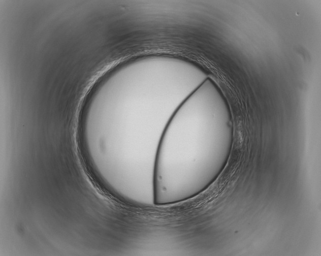 X0000112010728200908031021