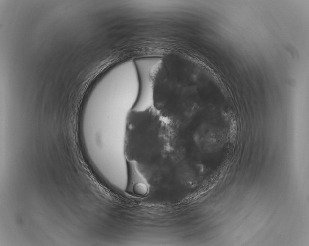 X0000112010729200908031021