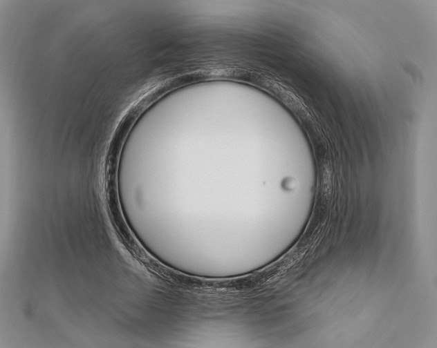 X0000112010730200908031021