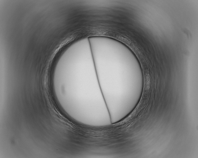 X0000112010731200908031021
