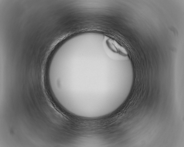 X0000112010732200908031021
