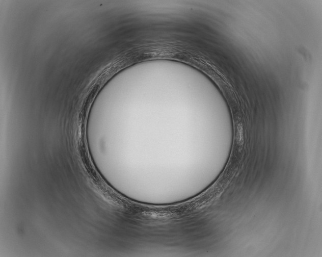 X0000112010733200908031021