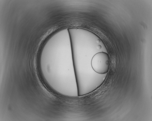 X0000112010734200908031021