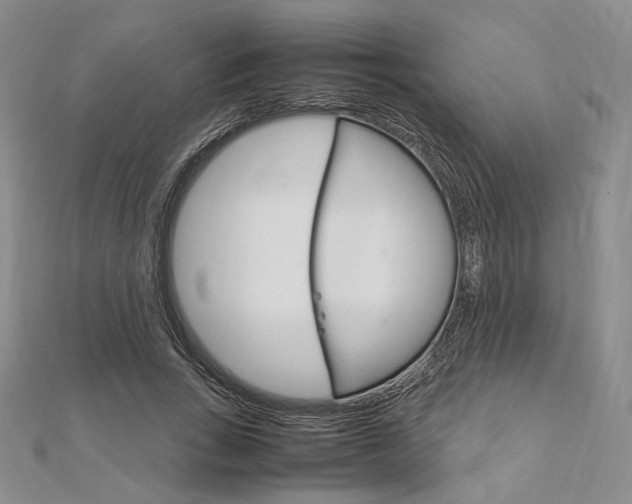 X0000112010735200908031021