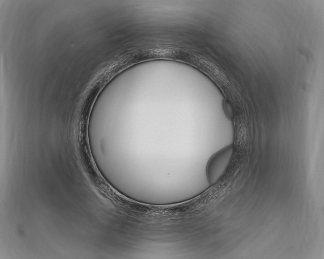 X0000112010736200908031021