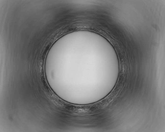 X0000112010737200908031021