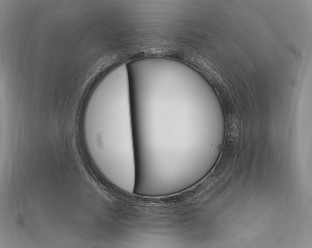 X0000112010738200908031021