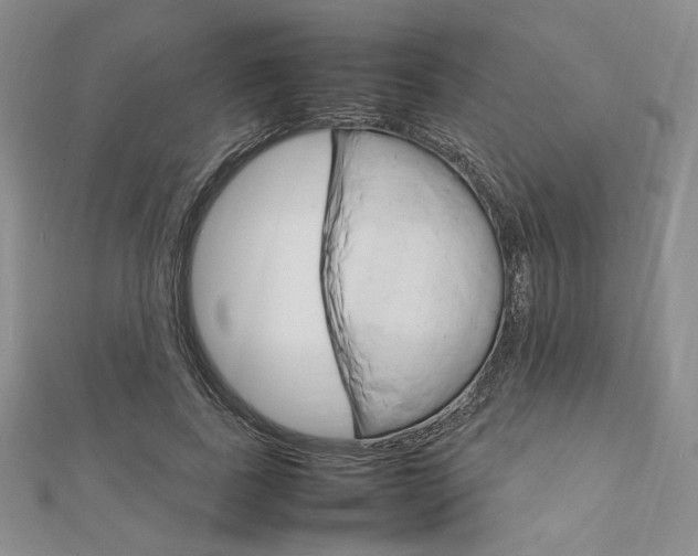 X0000112010739200908031021