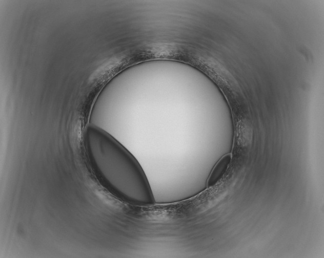 X0000112010740200908031021