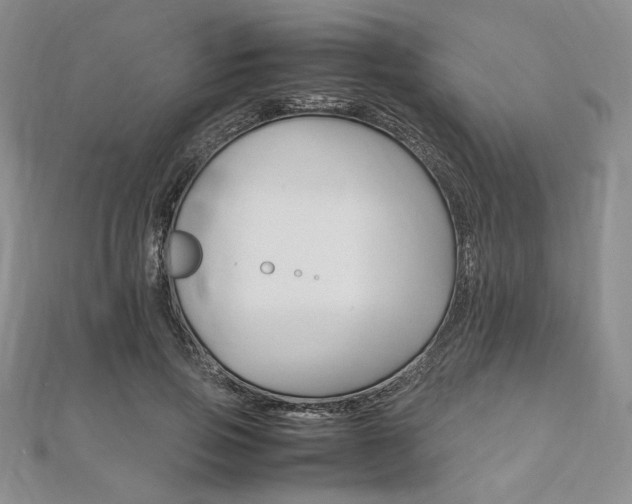 X0000112010741200908031021