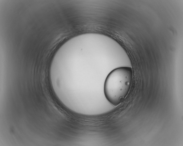 X0000112010744200908031021