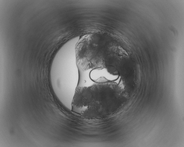 X0000112010745200908031021