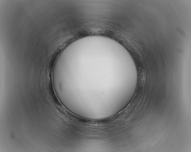 X0000112010746200908031021