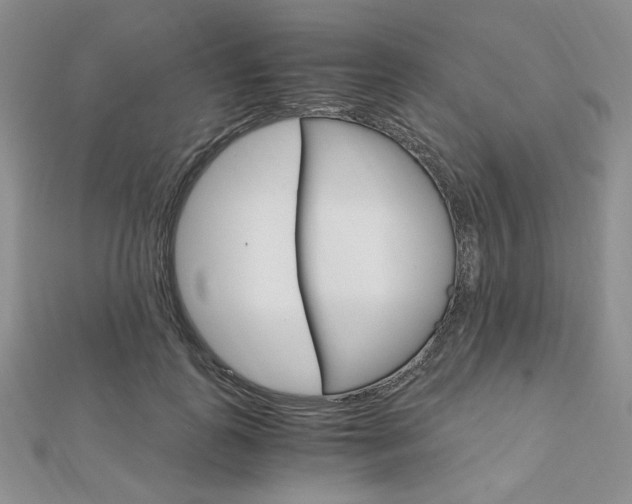 X0000112010747200908031021