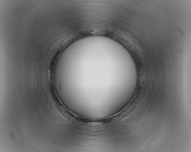 X0000112010748200908031021