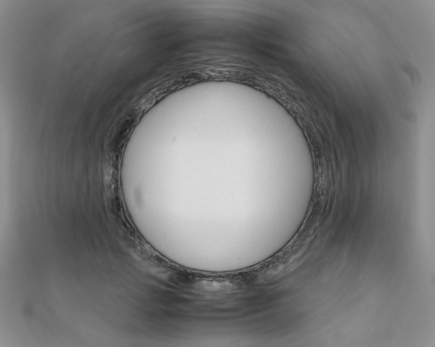 X0000112010749200908031021