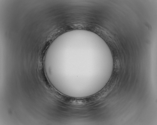 X0000112010751200908031021
