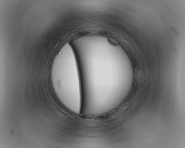X0000112010752200908031021