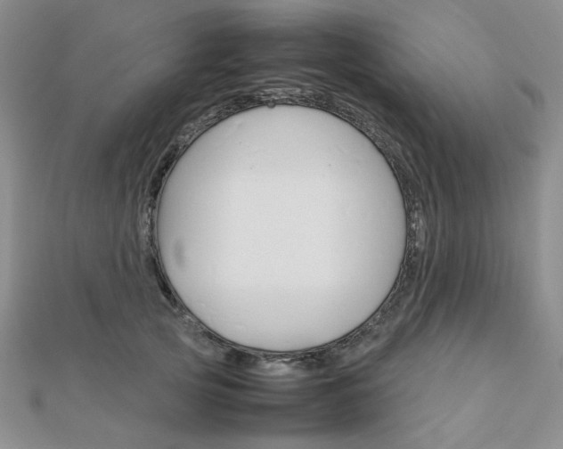 X0000112010753200908031021