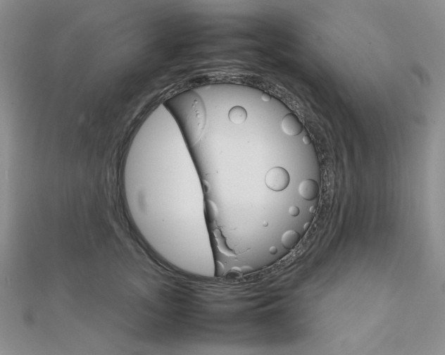 X0000112010755200908031021