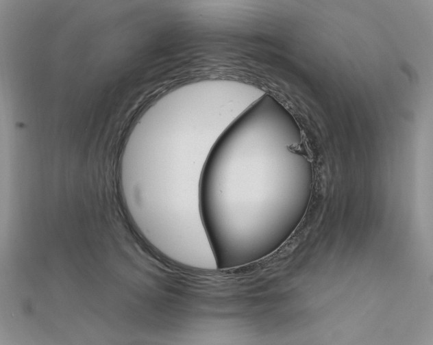 X0000112010756200908031021